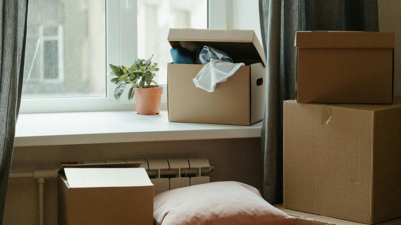 cottonbro studio/Pexels