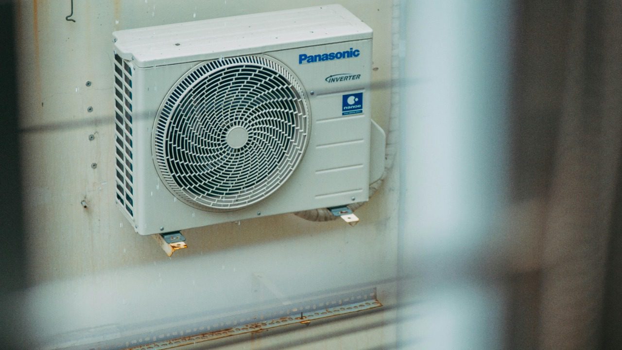 FOX ^.ᆽ.^= ∫/Pexels