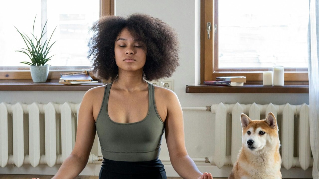 cottonbro studio/Pexels
