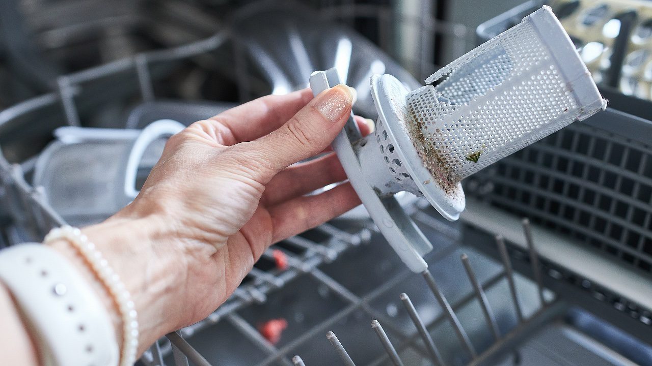 Image Credit: Shutterstock.
