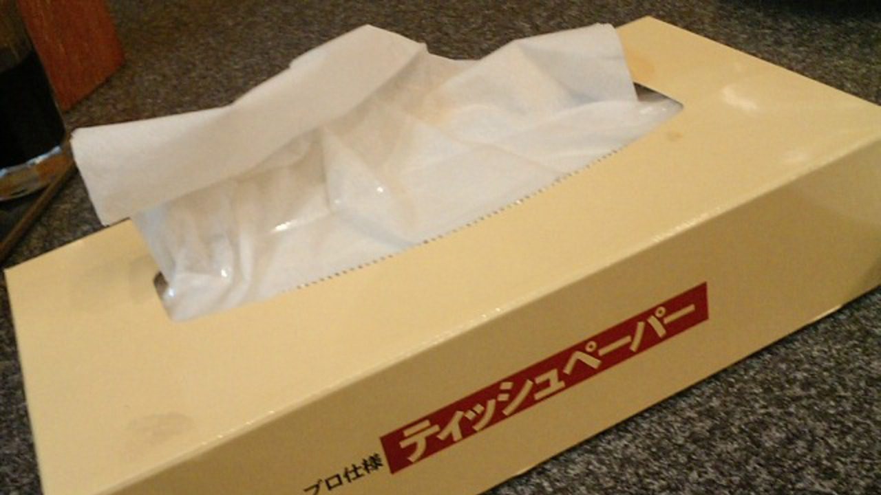 Image Credit: nishidaryuichi - CC BY 2.0/Wiki Commons