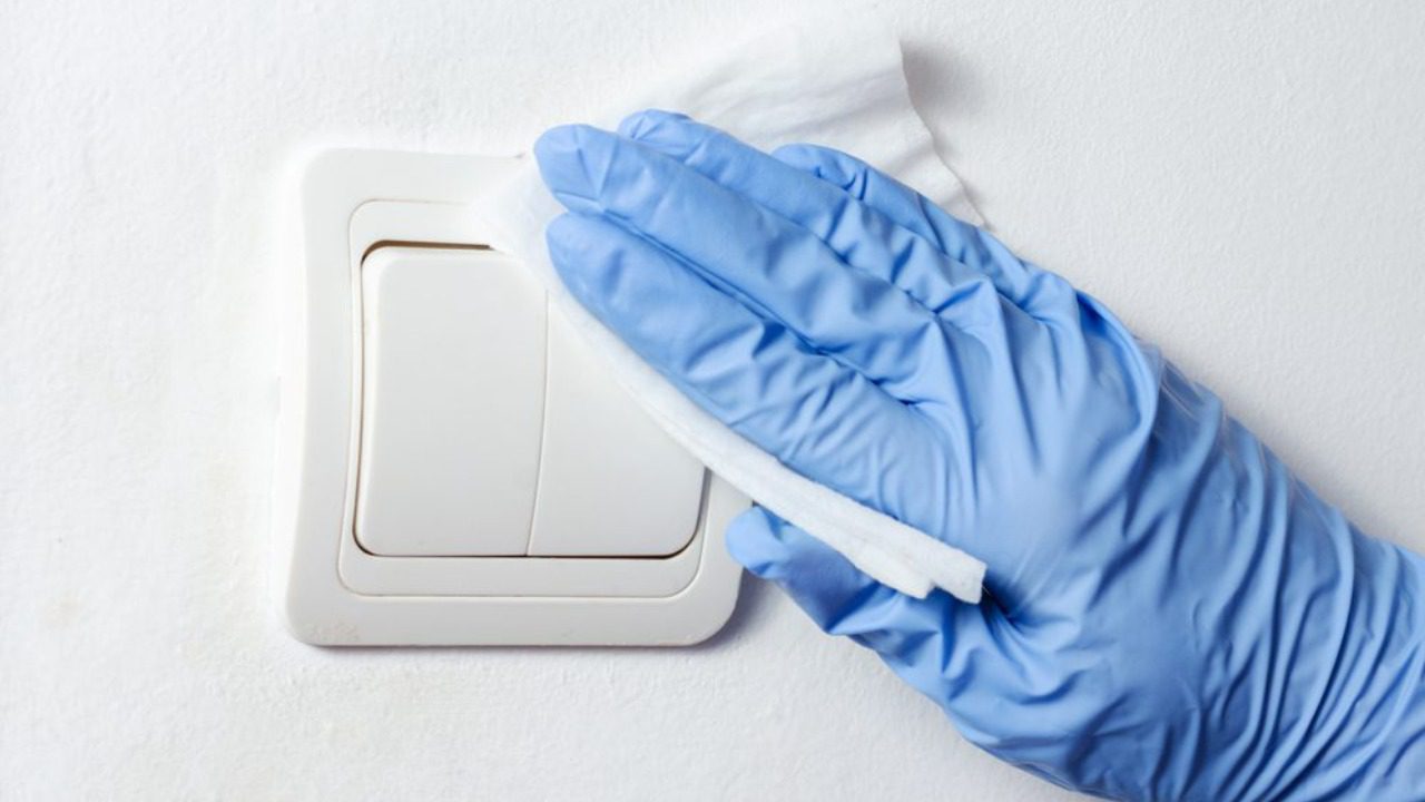 Image Credit: Shutterstock. 
