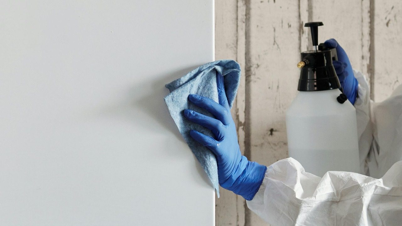 Matilda Wormwood/Pexels