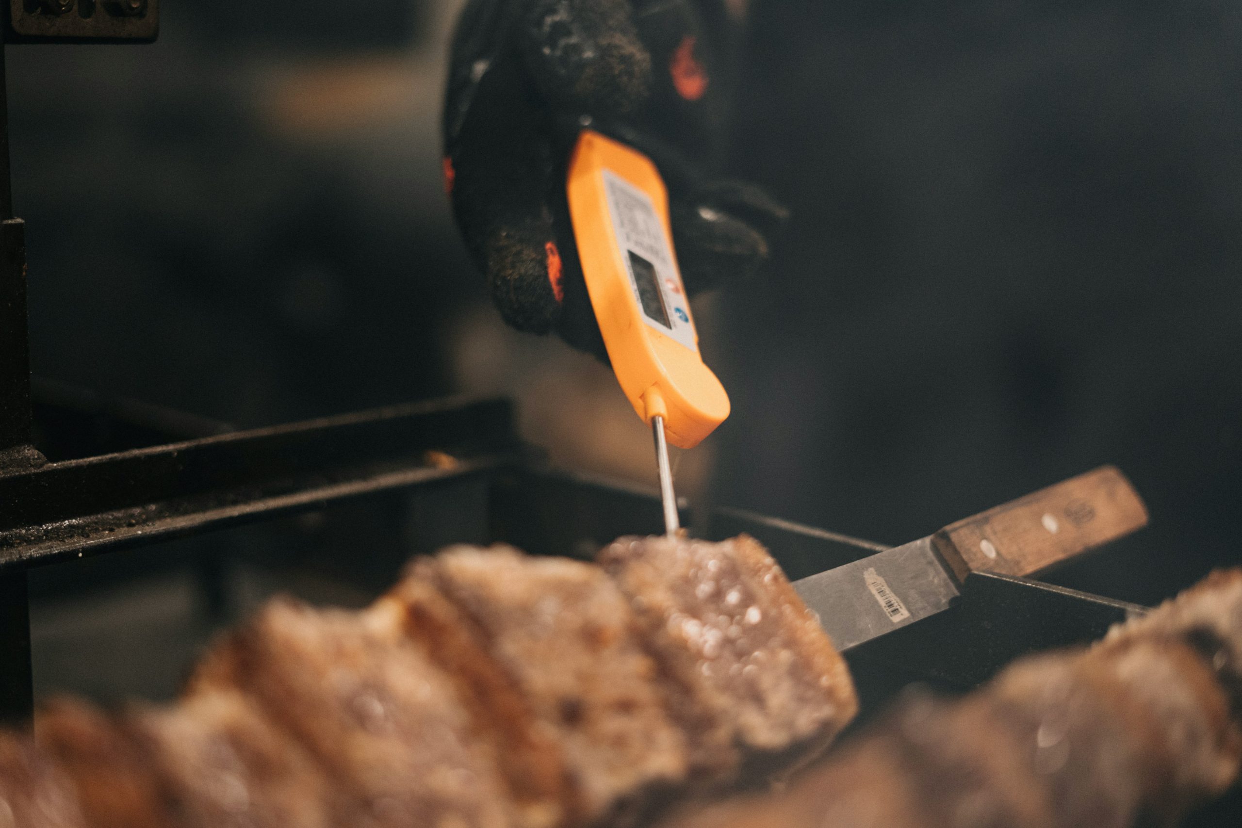 Meat thermometer, thermometer