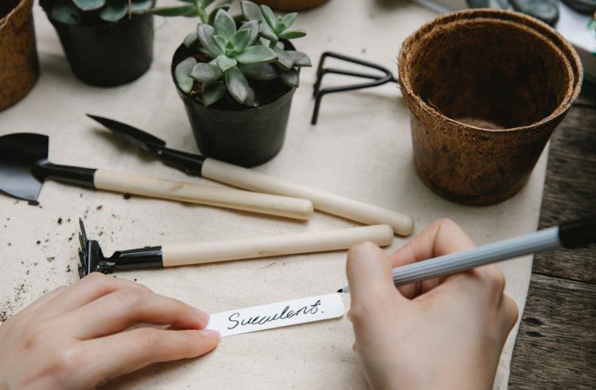 Ways I use labels to stay organized