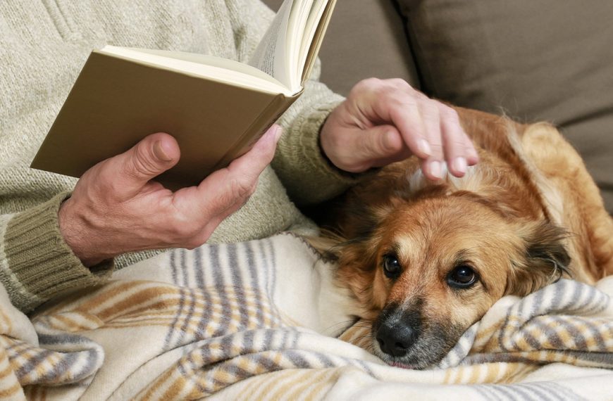 Old man sitting on the sofa with his lovely dog and book