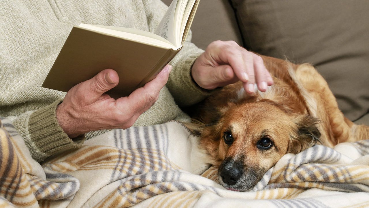 Old man sitting on the sofa with his lovely dog and book