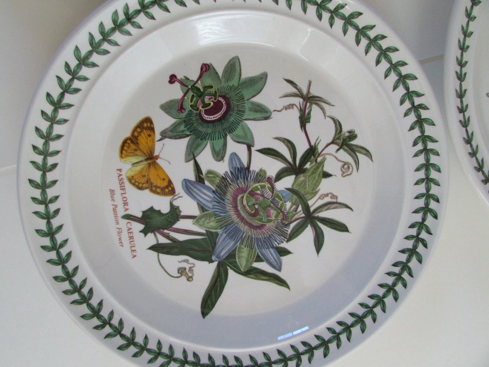 Rare Portmeirion Botanic Garden SusanWilliamsEllis 101/2" Botanical Plates Set 8