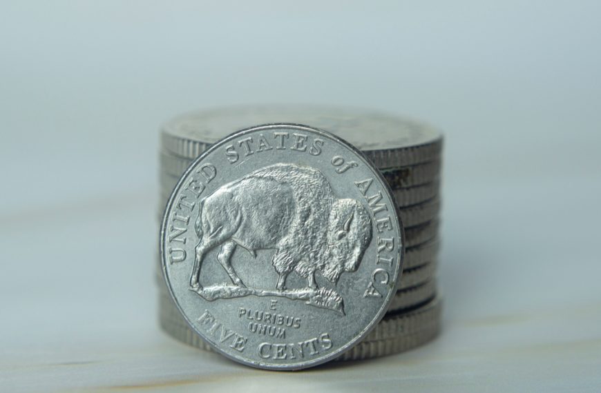 Buffalo Nickels