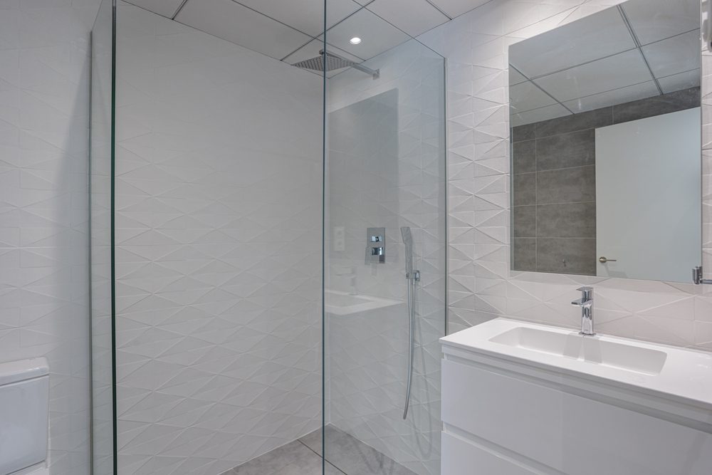 Frameless Shower Doors