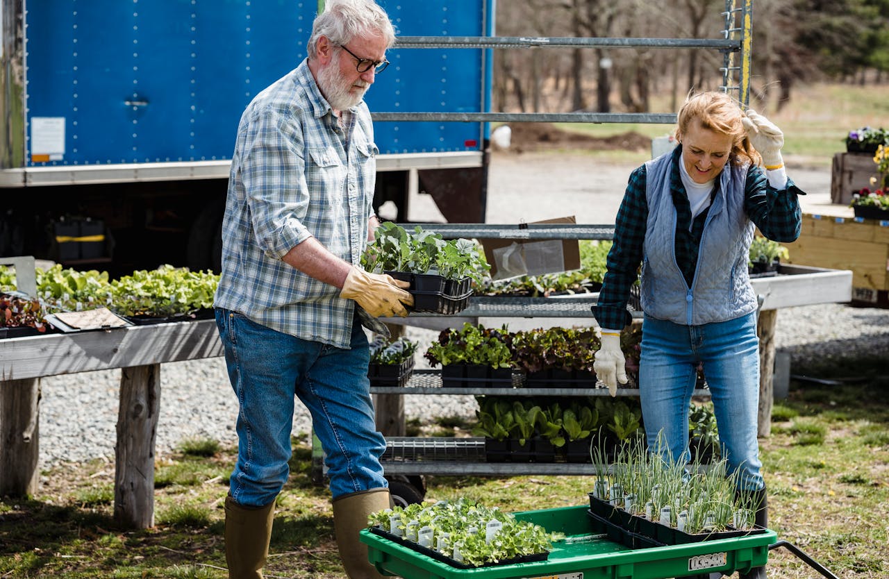 Farmers working with boxes of different vegetables and plants