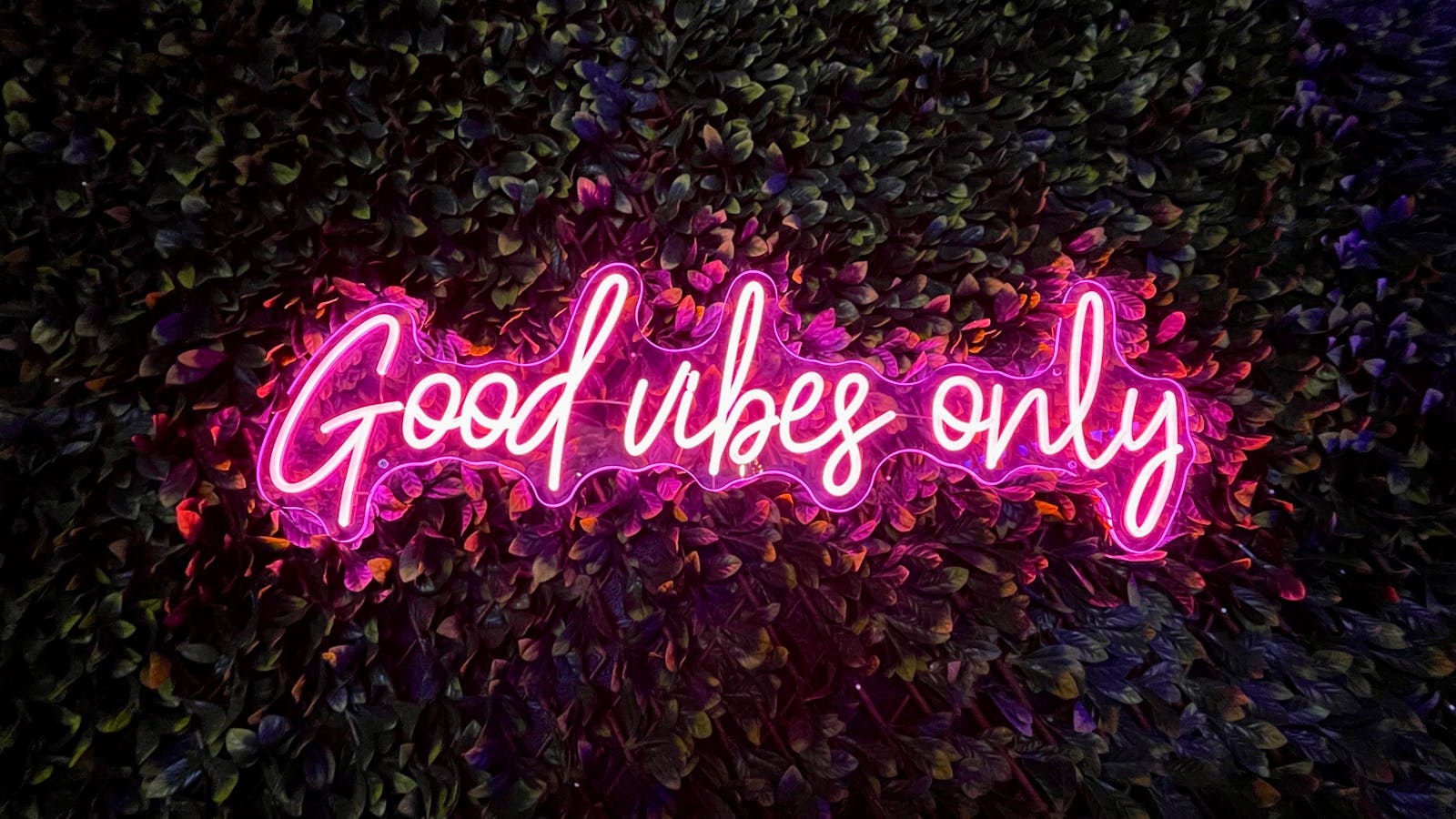 Vibrant pink neon sign reading 'Good vibes only' against a lush leafy wall.