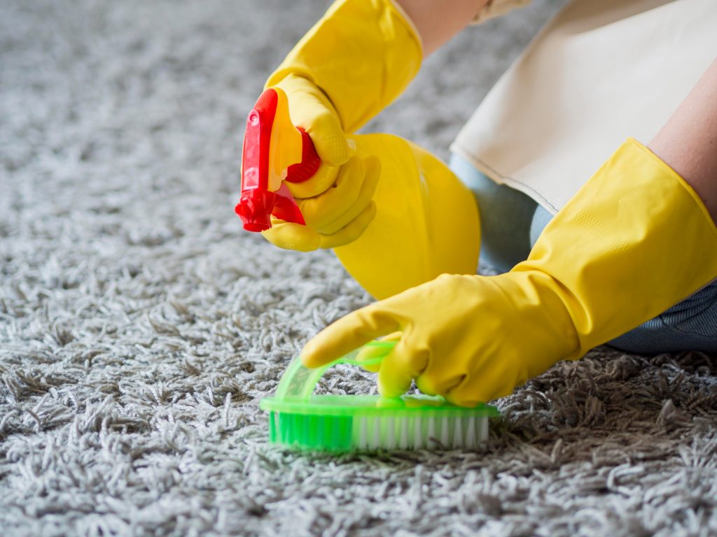 Cleaning Carpets with a Brush