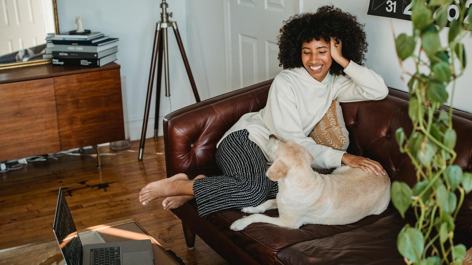 Happy young African American woman sitting on couch and resting with adorable dog with computer and cup of coffee on table in living room
