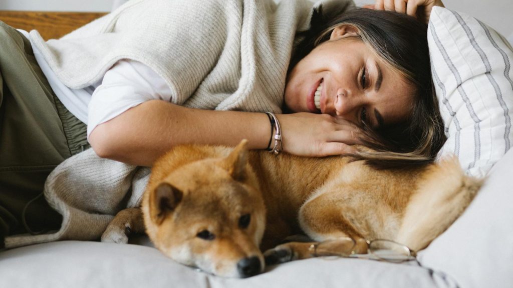 Cheerful brunette in comfy wear embracing fluffy adorable Shiba Inu dog while lying together on cozy couch in light living room