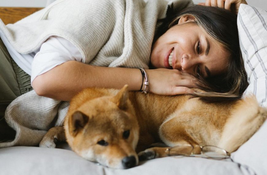Cheerful brunette in comfy wear embracing fluffy adorable Shiba Inu dog while lying together on cozy couch in light living room