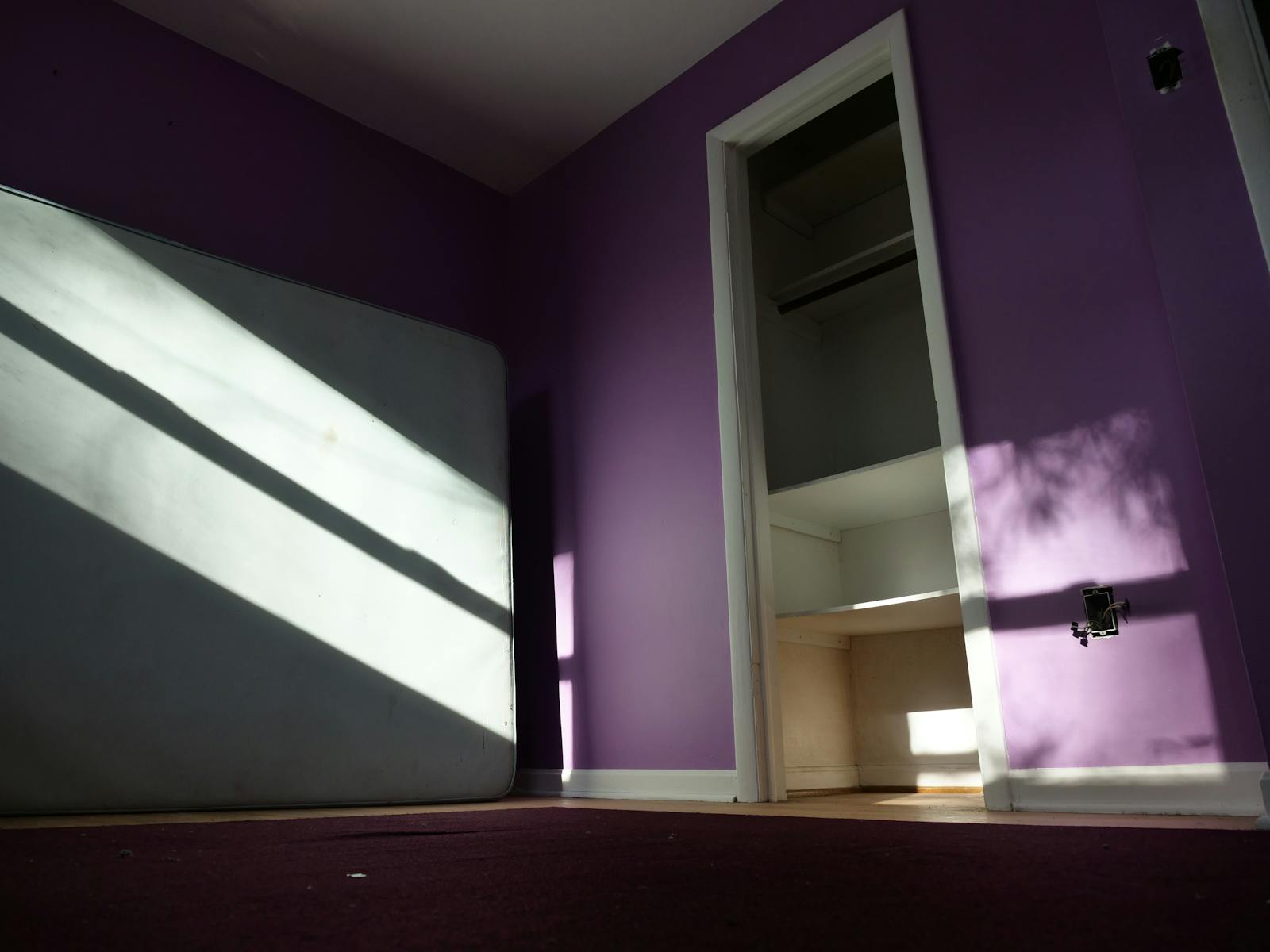 Sunlit empty room with purple walls, showcasing minimalist modern design.