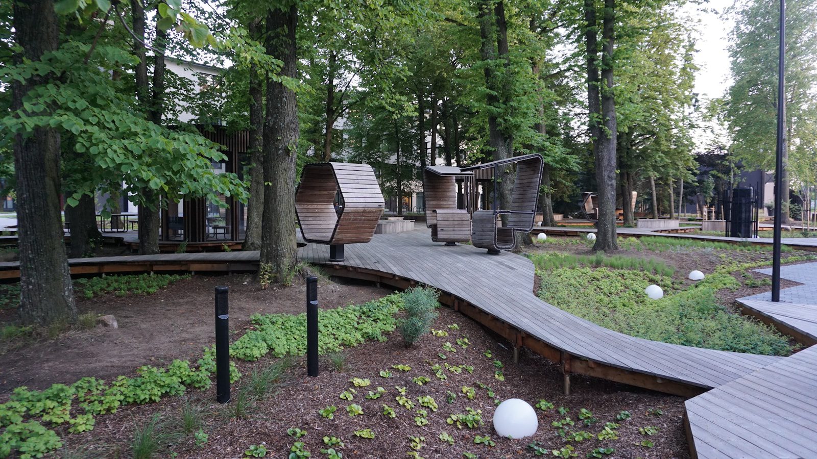 Wooden walkways wind through a park with trees.