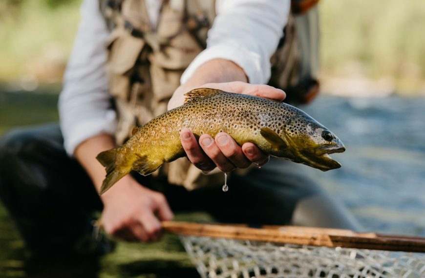 a man holding a brown fish in a net