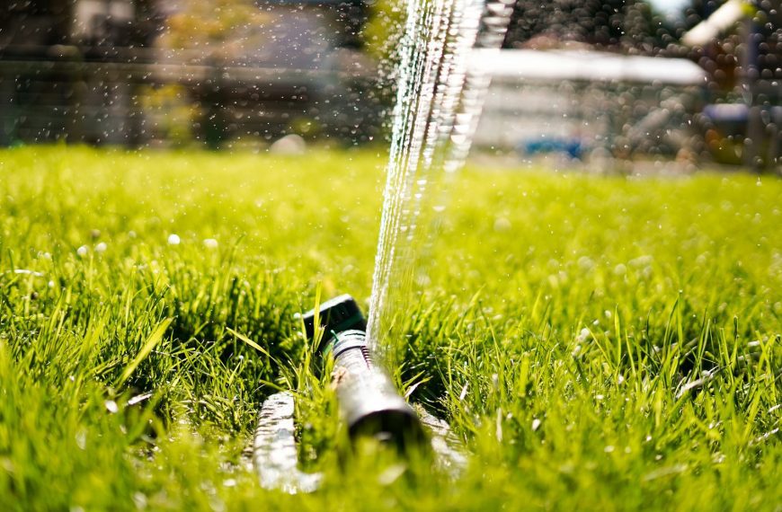 green glass bottle on green grass during daytime