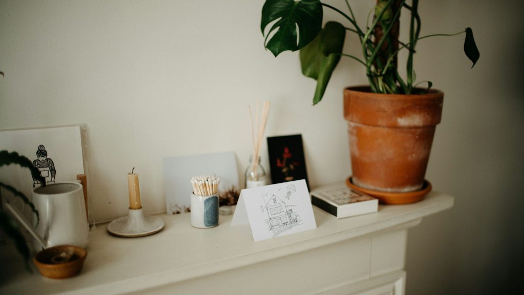 a potted plant sitting on top of a white mantle