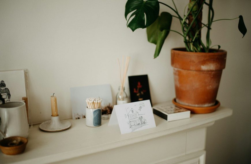 a potted plant sitting on top of a white mantle