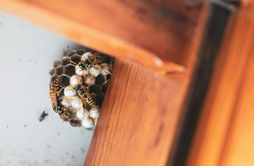silver and black beads on brown wooden drawer