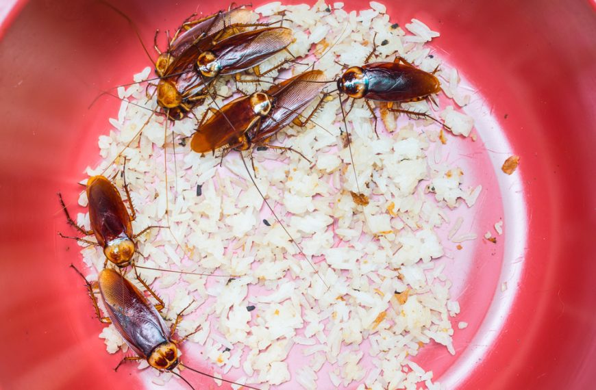 12 Ways You’re Accidentally Attracting…