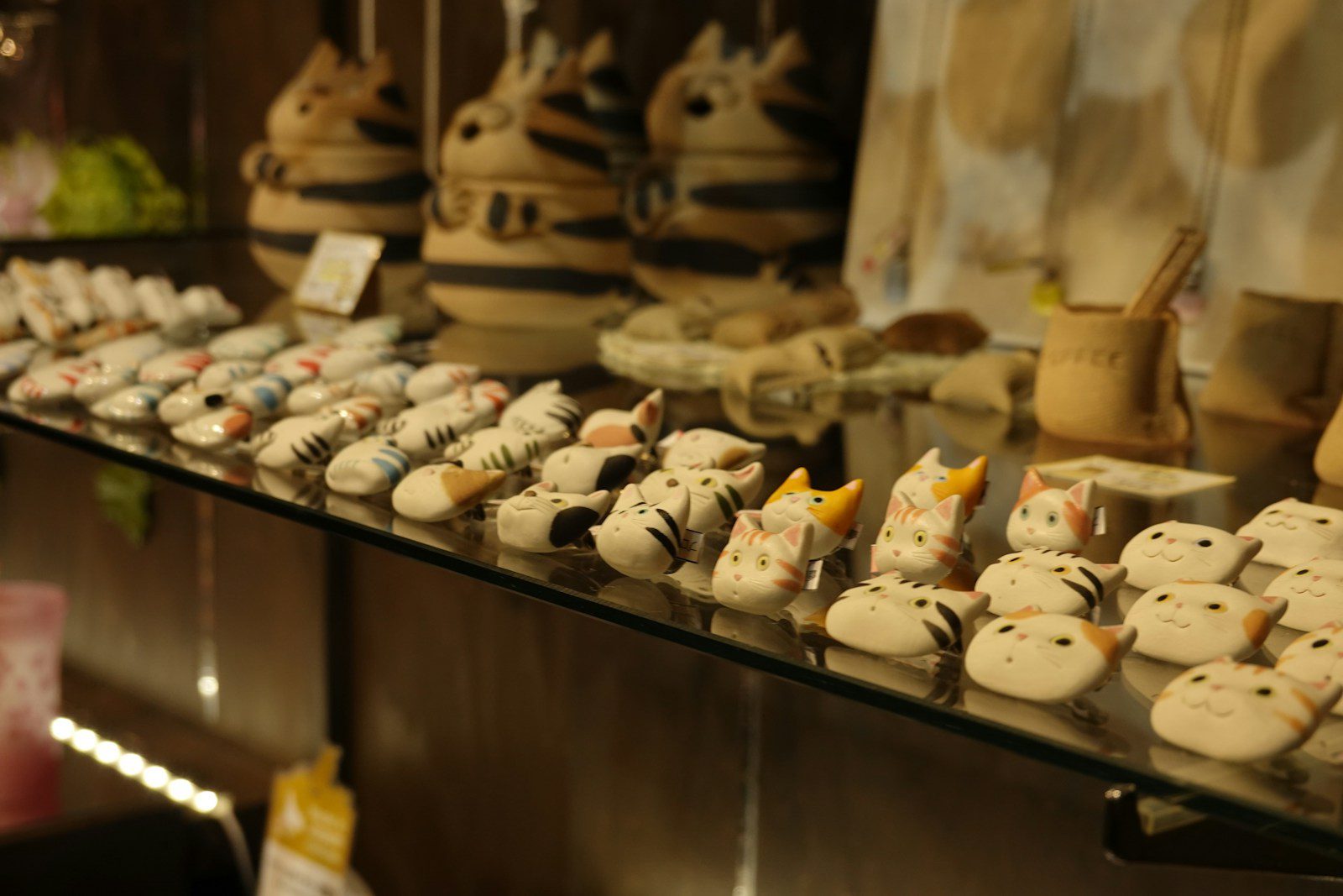 a display case filled with lots of different kinds of pottery