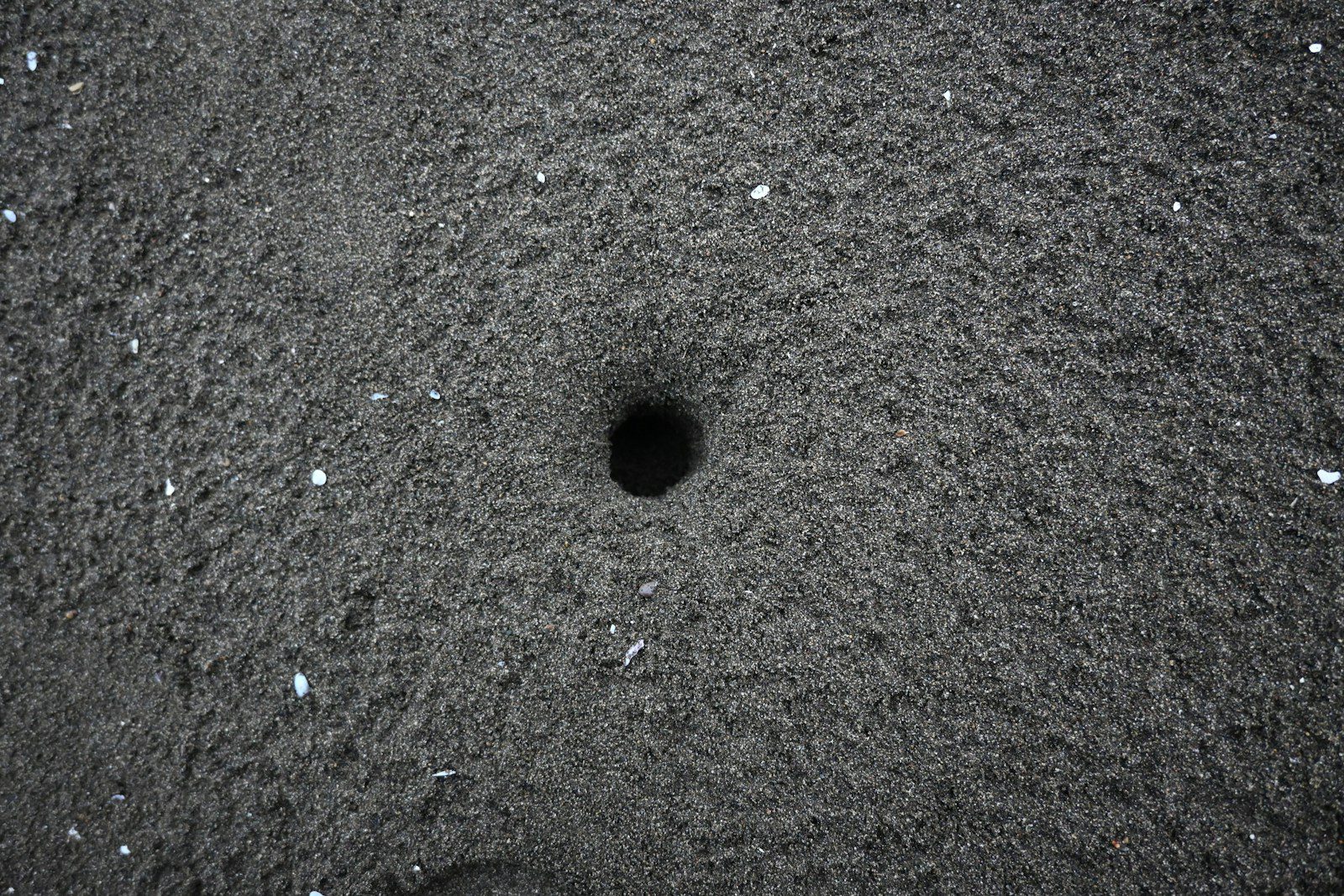 A black hole in the middle of the ground