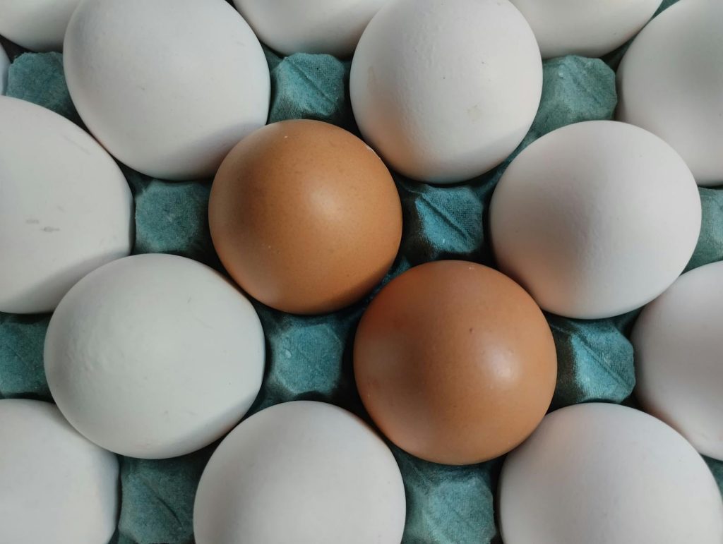 A detailed view of brown and white eggs placed in a blue egg carton, showcasing contrast.