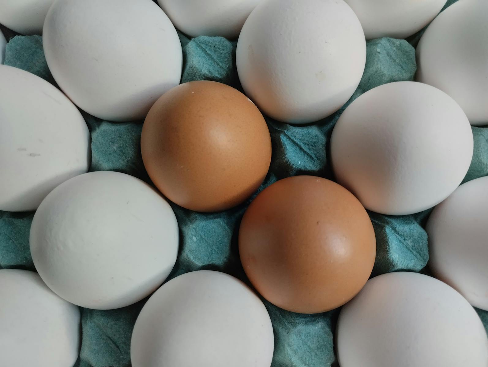A detailed view of brown and white eggs placed in a blue egg carton, showcasing contrast.