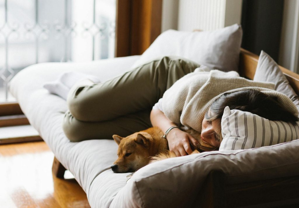 A peaceful scene of a woman napping with her Shiba Inu dog on a sofa.