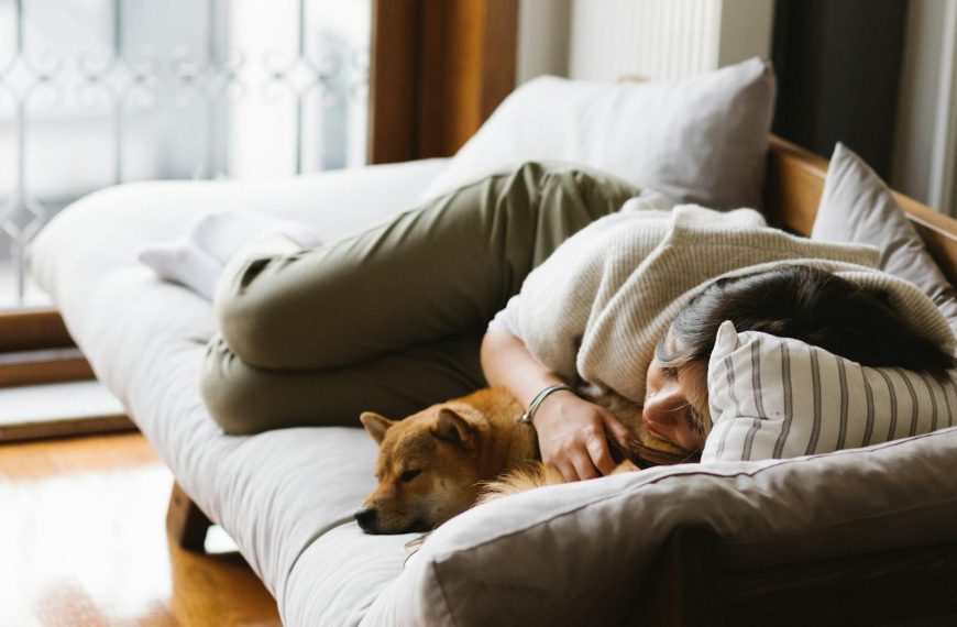 A peaceful scene of a woman napping with her Shiba Inu dog on a sofa.
