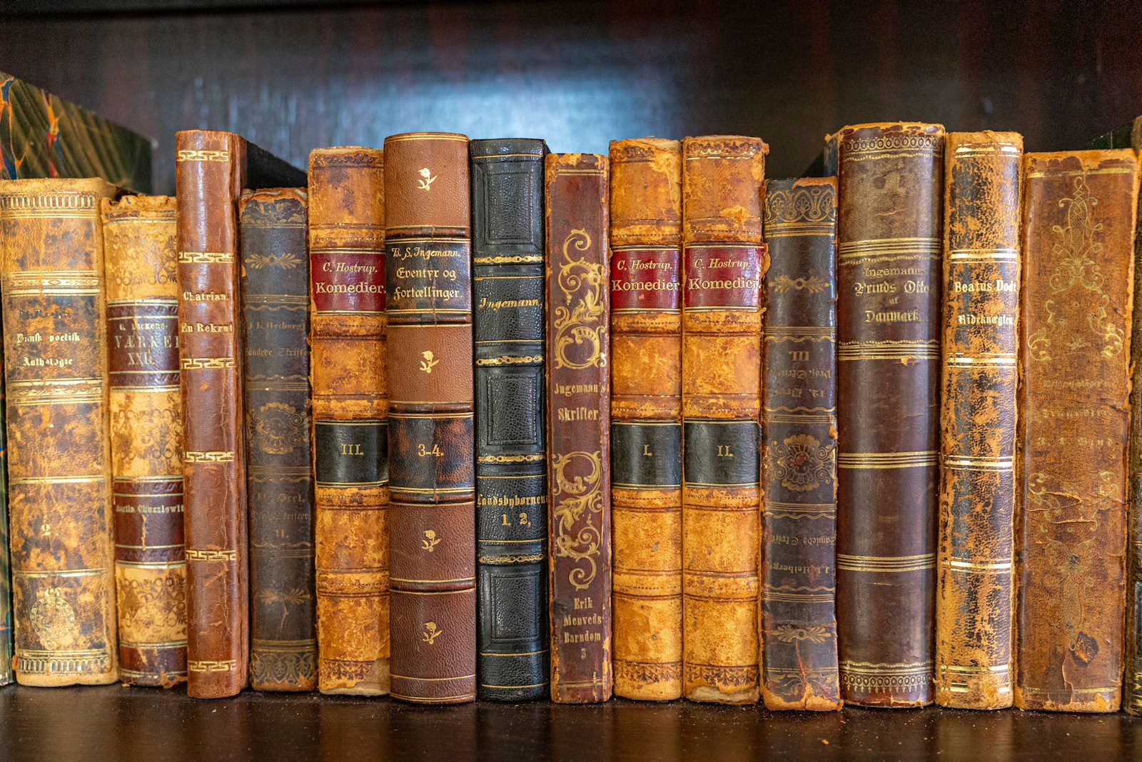 Old books are arranged on a shelf.