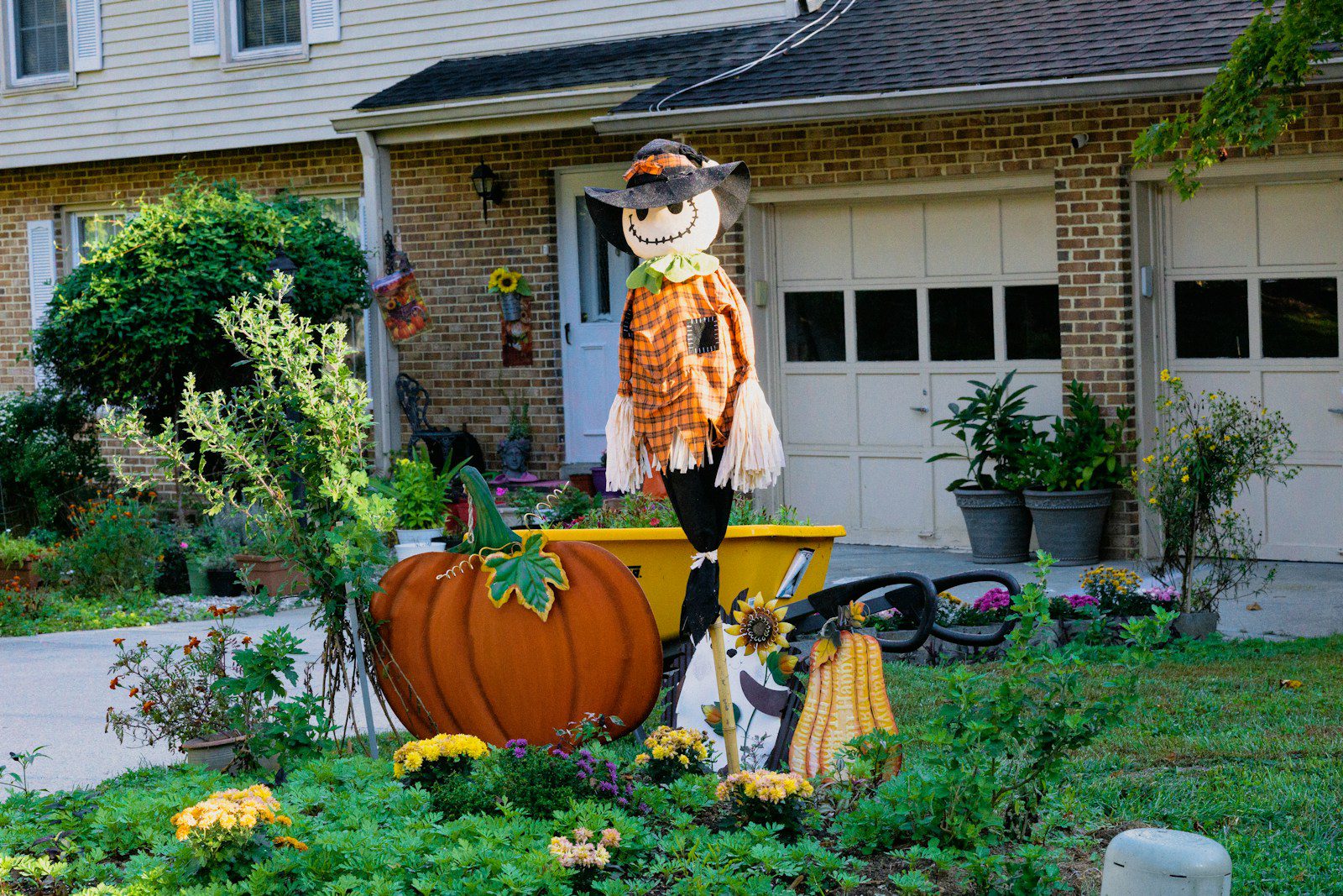 a scarecrow in a pumpkin costume in a yard