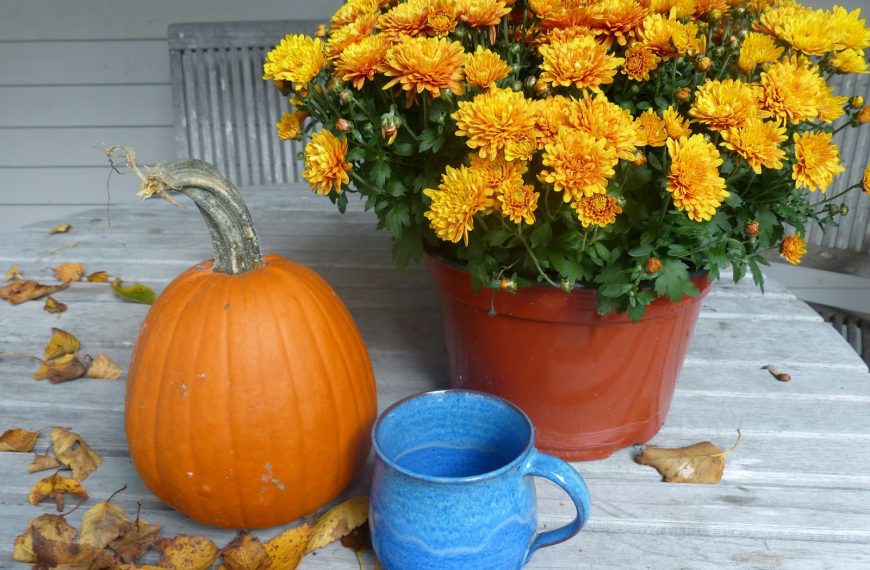 a blue mug sitting on top of a wooden table next to a potted plant