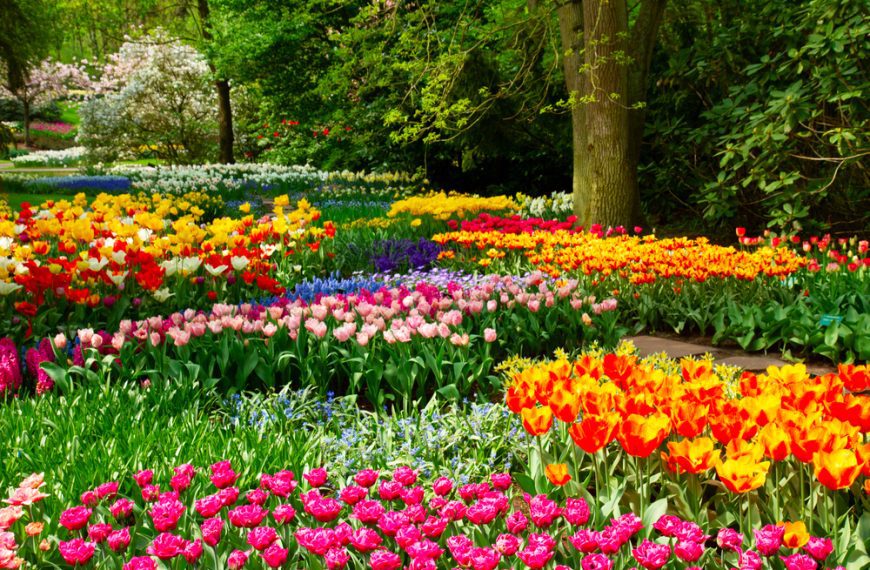 The Most Overlooked Spot to…