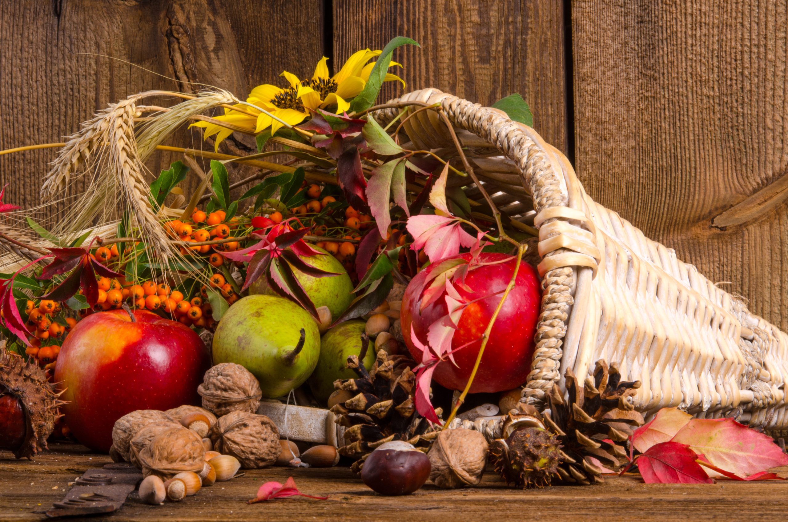 Cornucopia Centerpieces