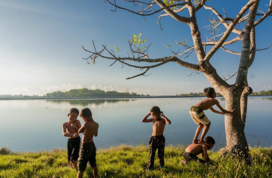Five kids enjoy a playful day by the lake, climbing trees and bonding under clear skies.