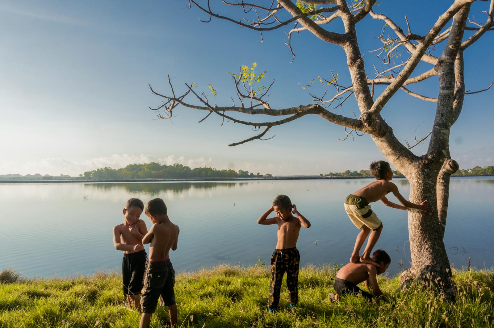 Five kids enjoy a playful day by the lake, climbing trees and bonding under clear skies.