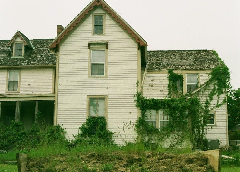 Rustic white cottage covered in ivy, showcasing natural beauty and age in a lush, green setting.