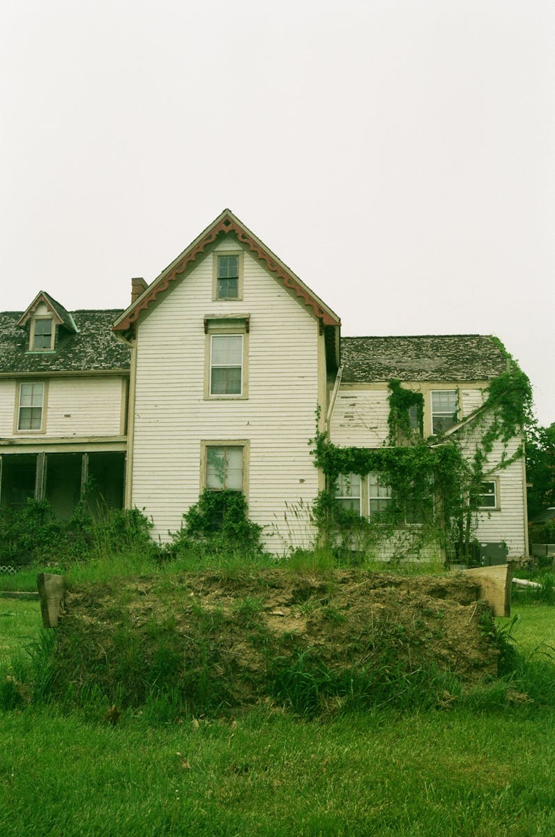 Rustic white cottage covered in ivy, showcasing natural beauty and age in a lush, green setting.