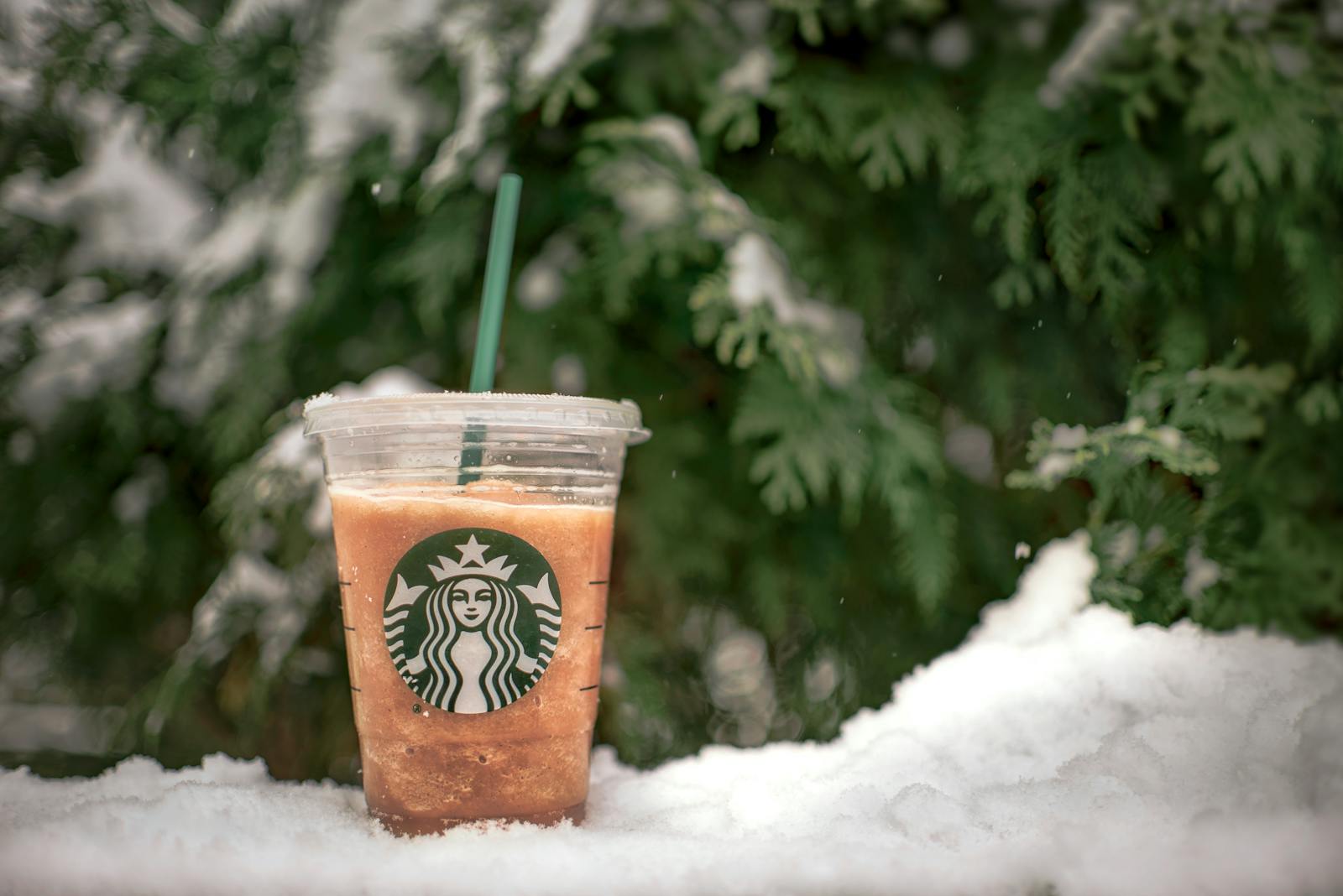 A refreshing iced beverage in a plastic cup set against a snowy evergreen backdrop.