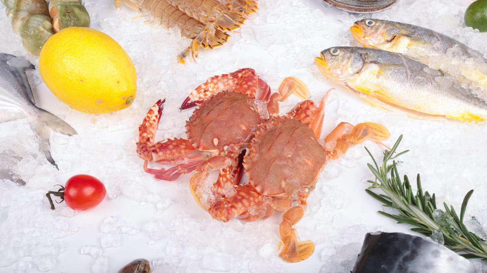 Fresh seafood arrangement with crabs, fish, lemon, and ice on white background.