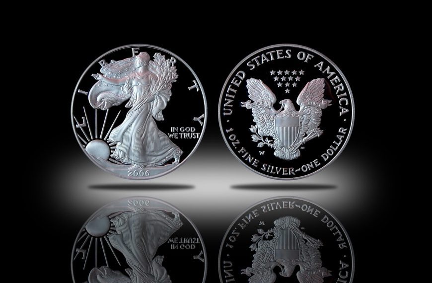 silver, coin, proof silver eagle, numismatic, investment, silver eagle, bullion, money, value, reflection, black money, silver, silver, silver eagle, silver eagle, silver eagle, silver eagle, silver eagle, bullion, bullion, bullion, bullion, money, value, value, value