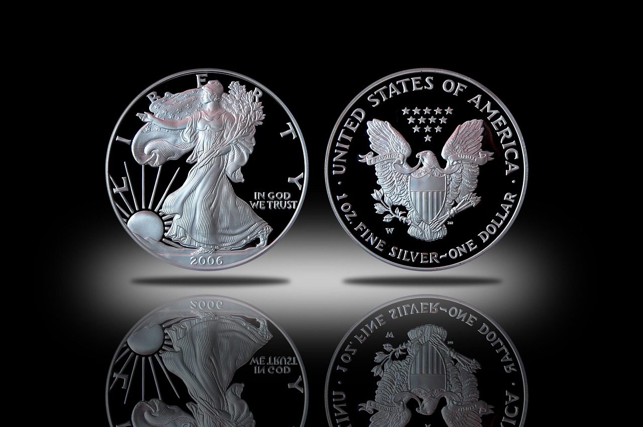 silver, coin, proof silver eagle, numismatic, investment, silver eagle, bullion, money, value, reflection, black money, silver, silver, silver eagle, silver eagle, silver eagle, silver eagle, silver eagle, bullion, bullion, bullion, bullion, money, value, value, value