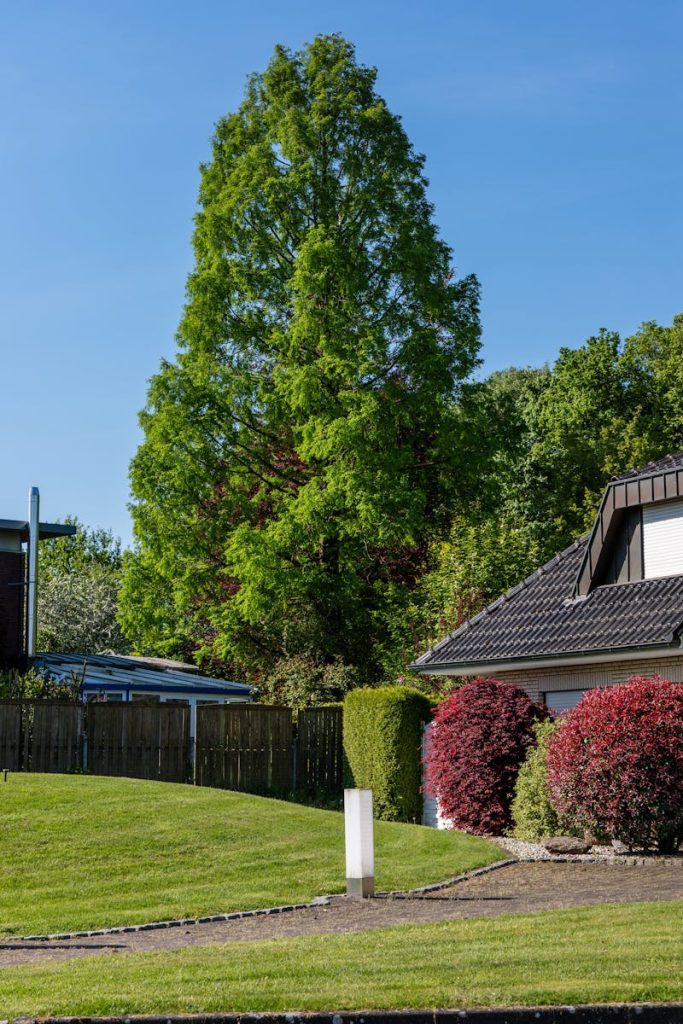 A serene suburban neighborhood featuring a tall green tree and well-maintained lawns under a clear blue sky.