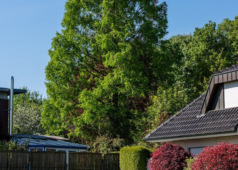 A serene suburban neighborhood featuring a tall green tree and well-maintained lawns under a clear blue sky.