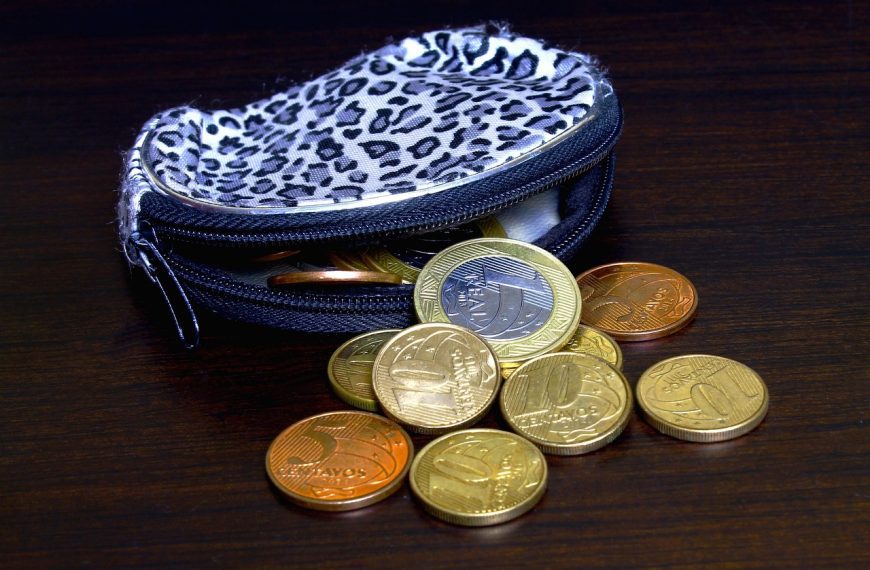 coin purse, little bag, handbag, female, coins, money, coin purse, coin purse, coin purse, coin purse, coin purse, handbag, coins, coins, coins, coins, money, money